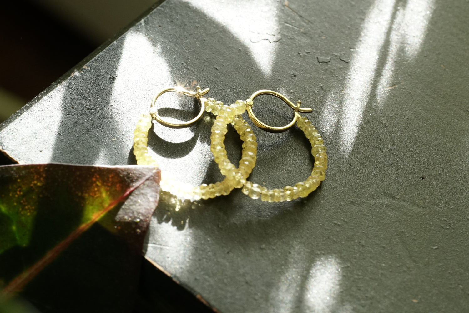 Gold hoop earrings on a textured surface with a leaf shadow.