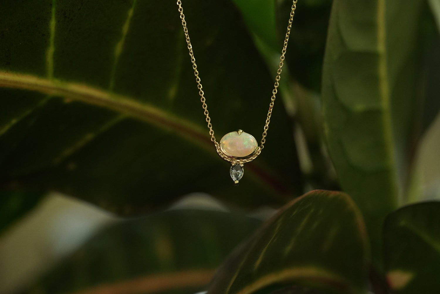 Gold necklace with an opal pendant against a leafy background