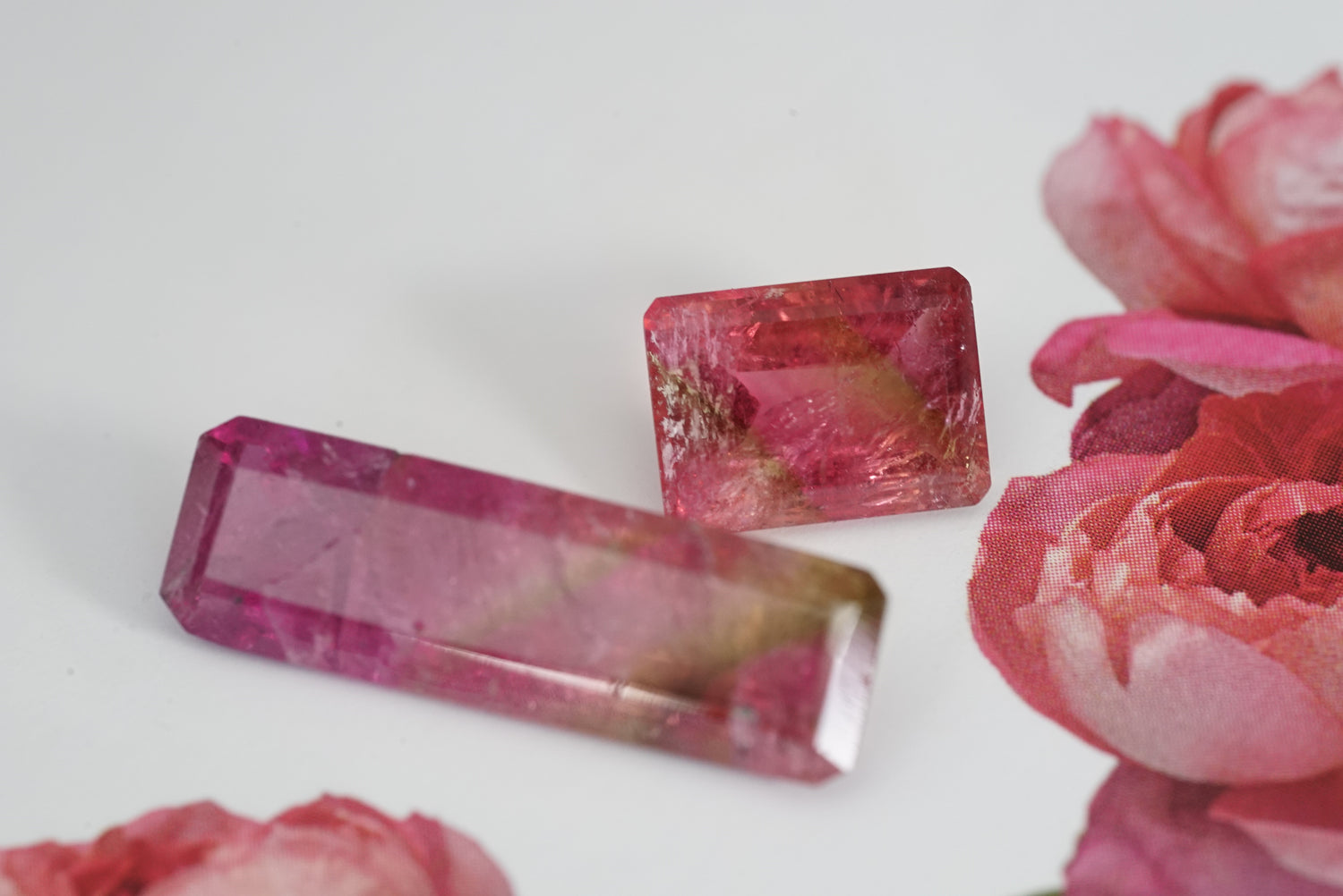 Two pink tourmalines with pink flowers on a white background