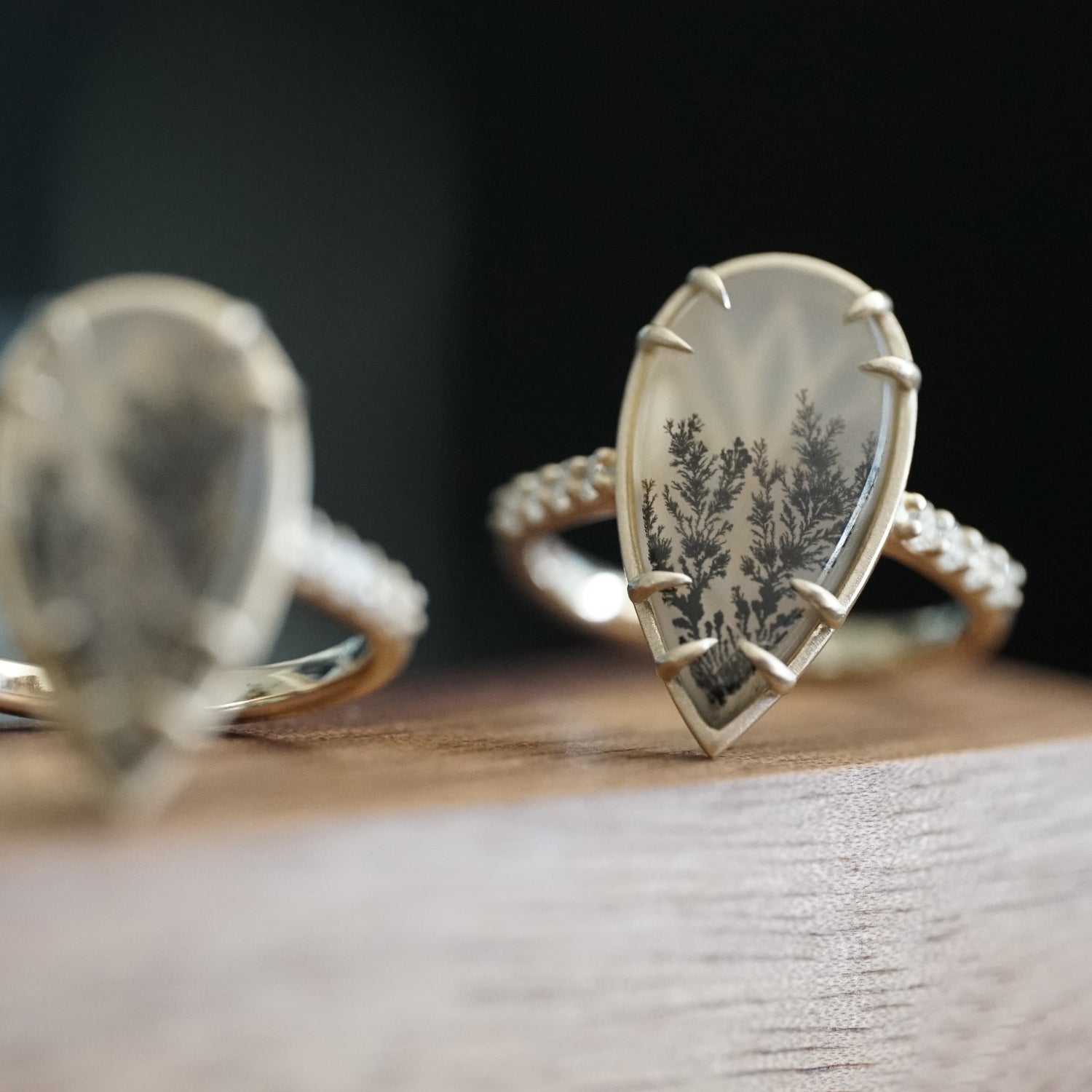 Golden Spruce | One of a Kind