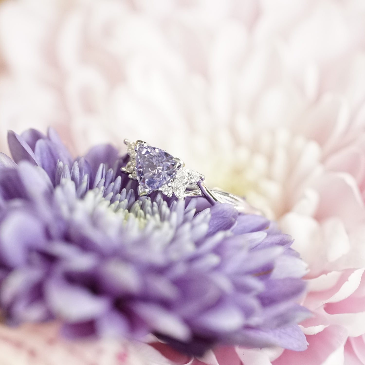 A macro photo of a triangular shaped lavender spinel and diamonds set in a white gold ring laying on a purple flower with a pink backdrop