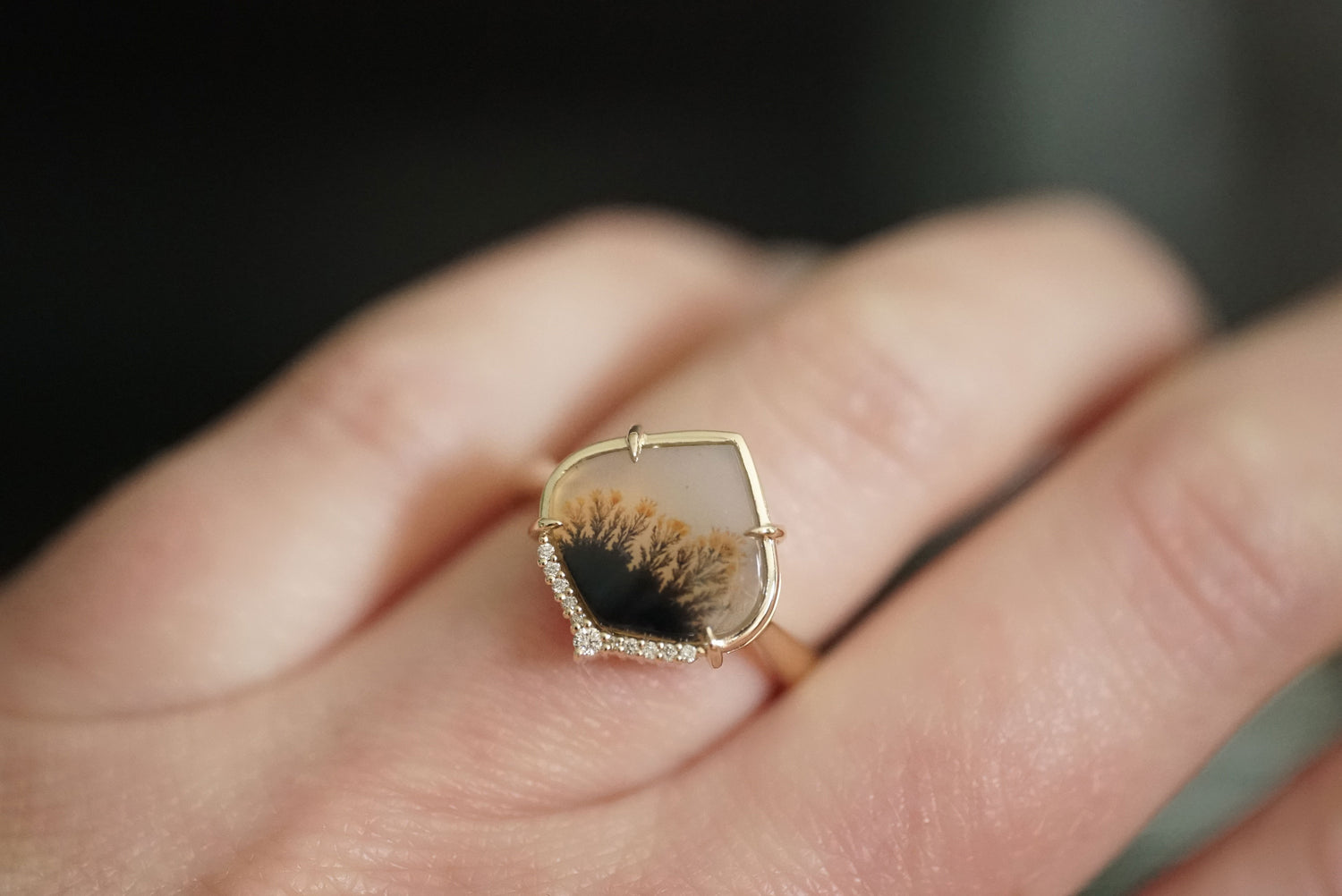 Close-up of a hand wearing a gold ring with a black and brown stone.