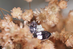 Diamond ring with a purple gemstone surrounded by dried flowers