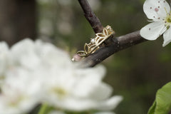 Gold ring on a branch with white flowers in the background