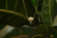 Gold necklace with an opal pendant against a leafy background
