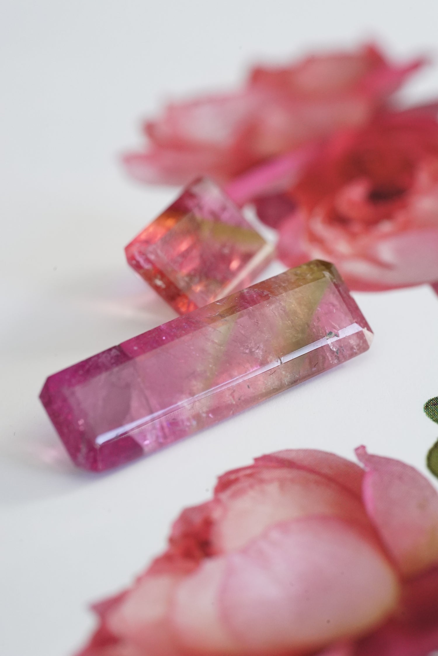 Pink and green tourmaline with flowers on a white background