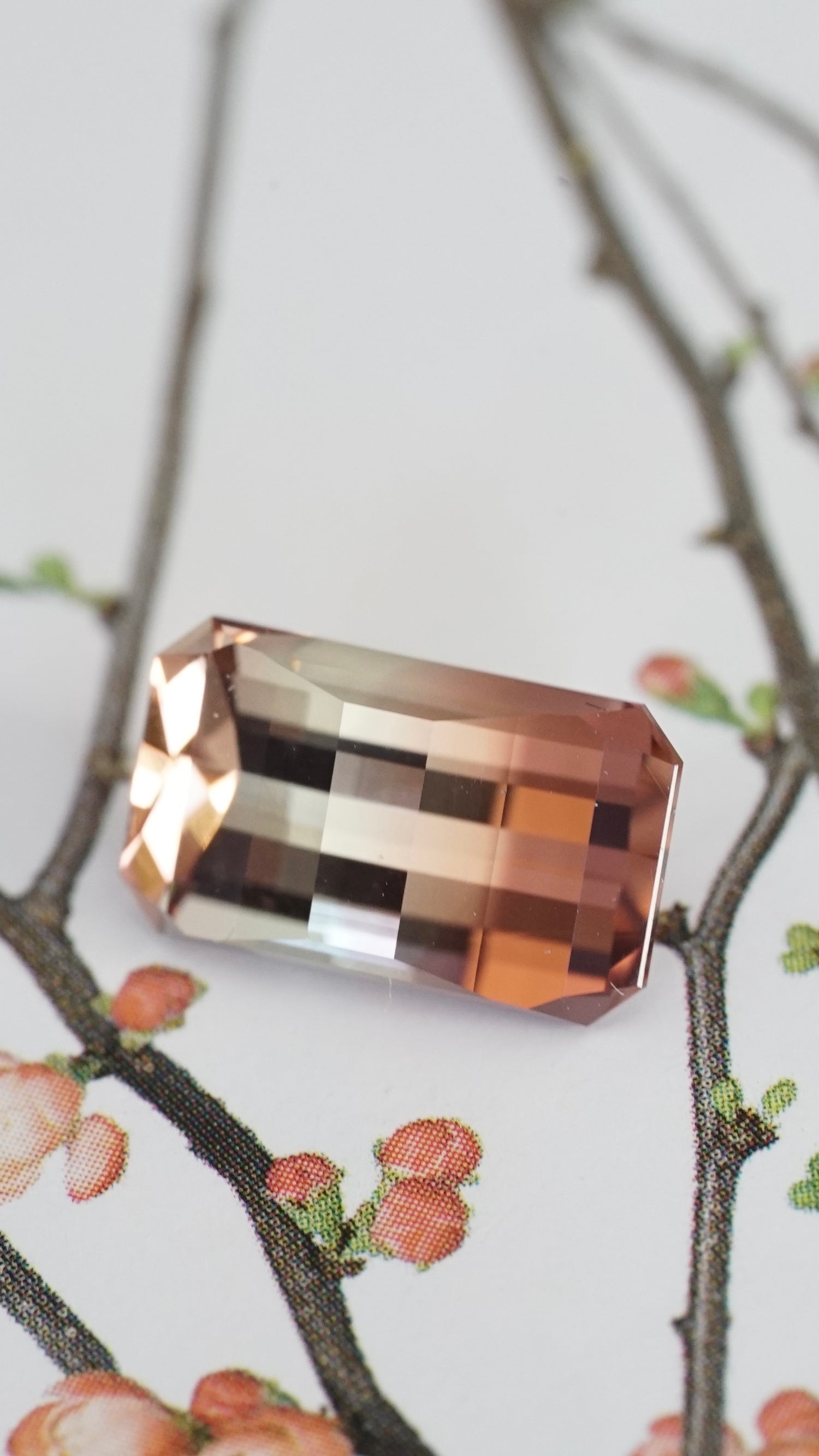 3.67 ct Pixel Cut Tourmaline<br>Cut by<br>MVM&nbsp;Gems