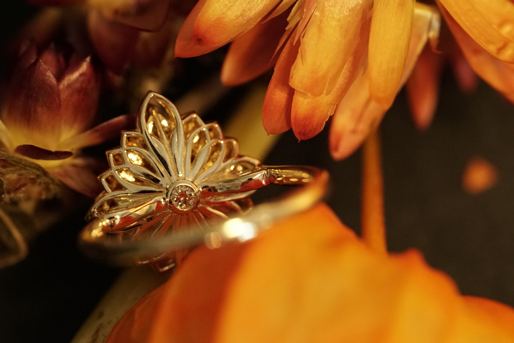 a magnificent 18K yellow gold ring with an oval chocolate zircon center stone surrounded by round and pear shape diamonds which color fade from brown to white in a floral rotated to show the unique back design with a cognac diamond accent