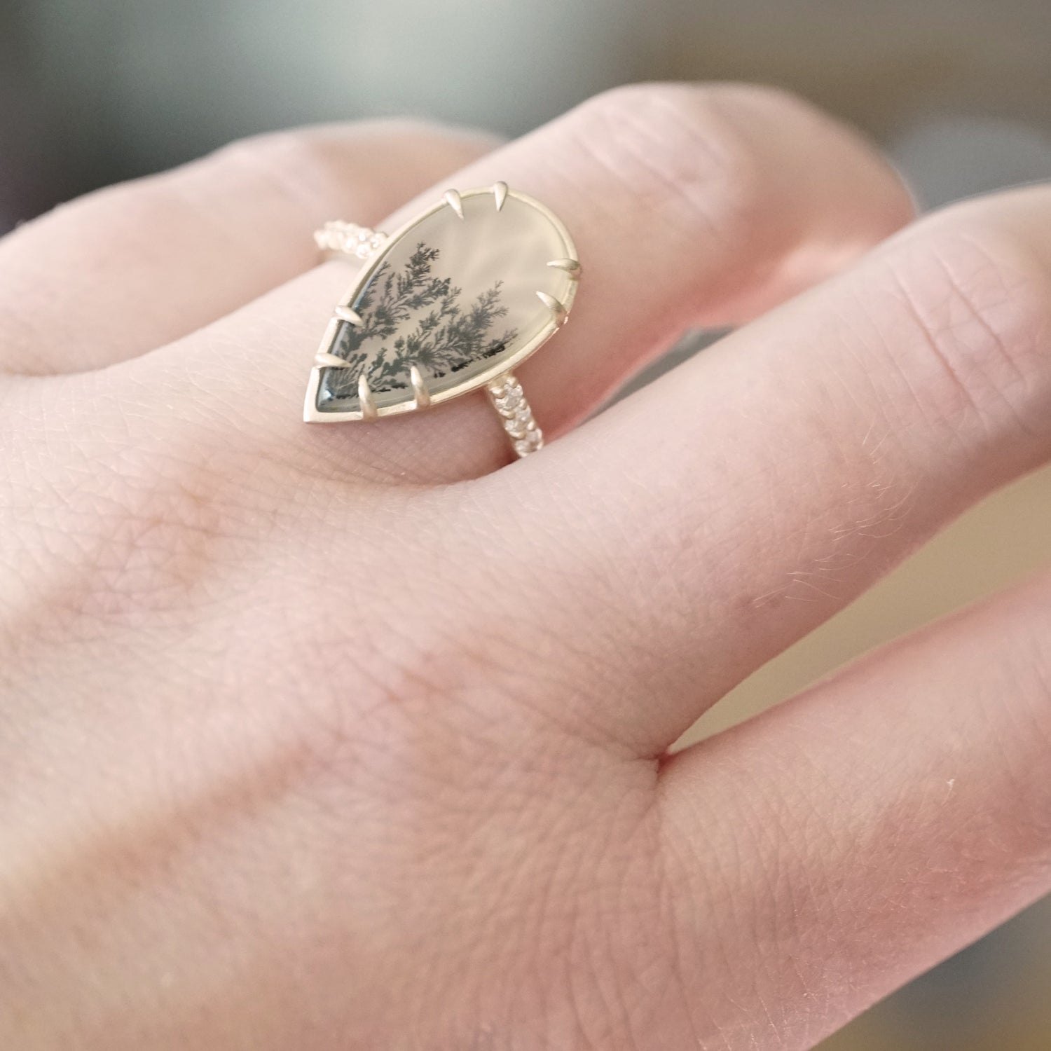 Golden Spruce  | One of a Kind