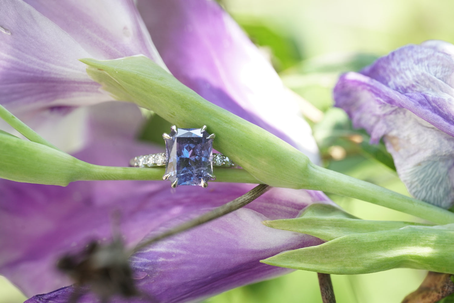 A rectangular purple sapphire ring with a platinum prong setting, shown close-up against a blurred purple and green background.