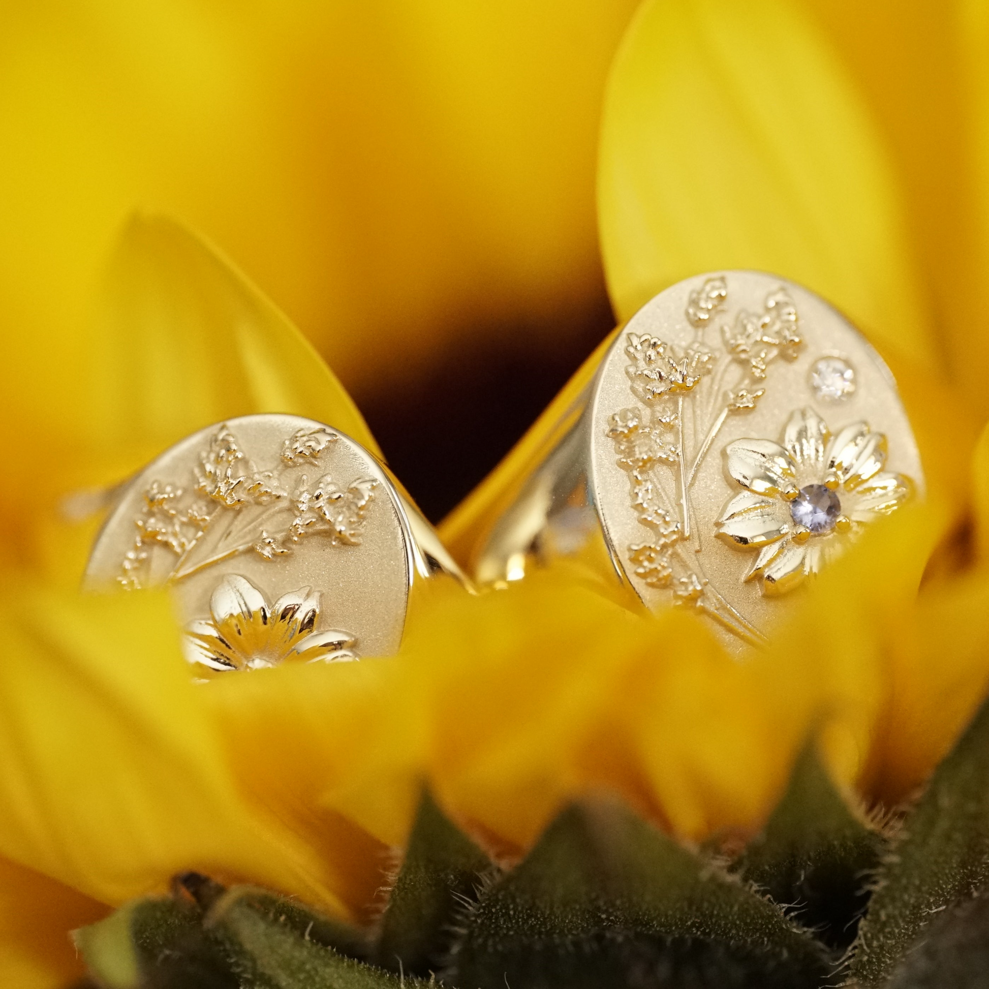 a macro photo of two yellow gold signet rings with floral motifs and a light blue gemstone resting in a sunflower