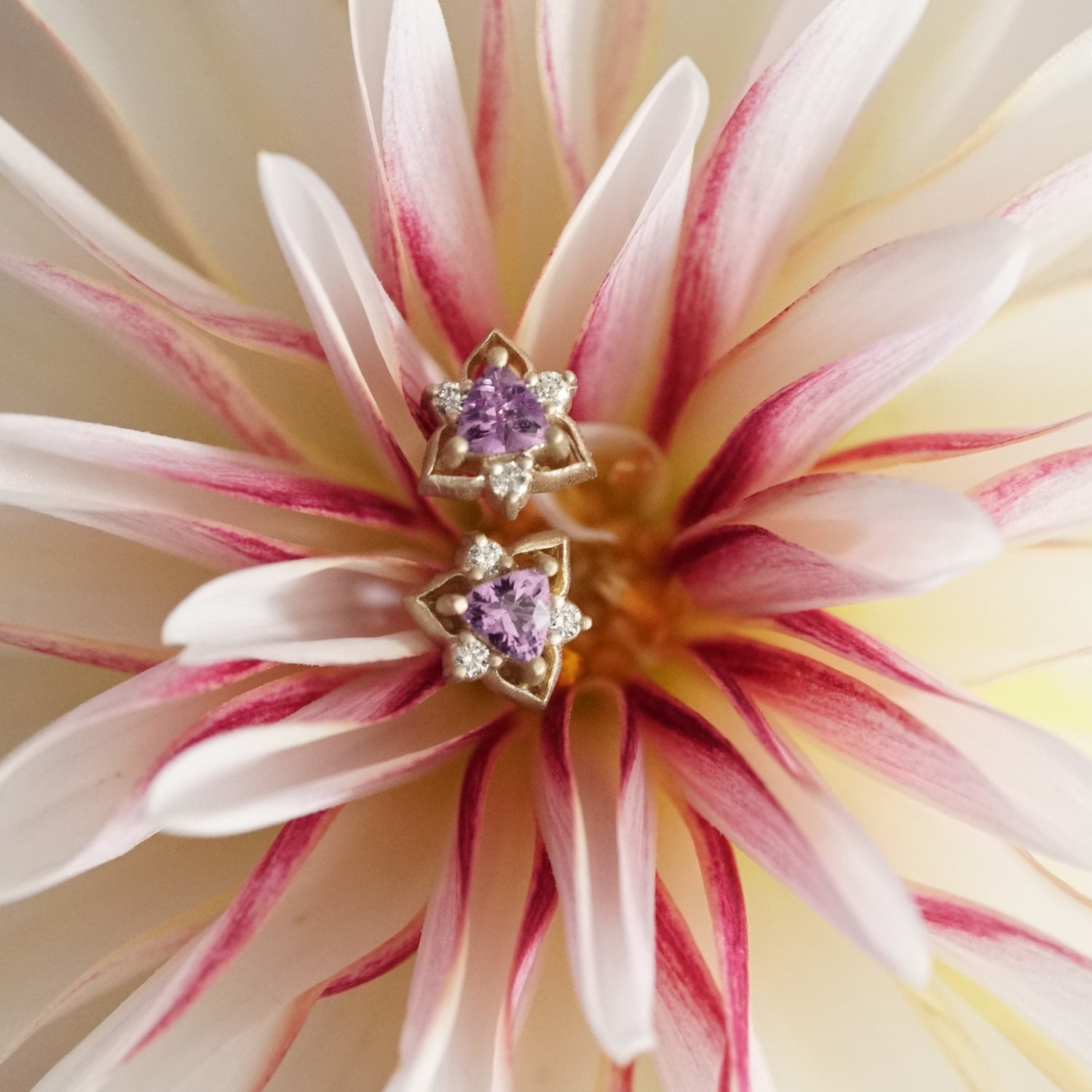 a pair of yellow gold triangular shaped studs featuring a pink sapphire trillion center stone and 3 round diamond accents resting in a pink and white flower