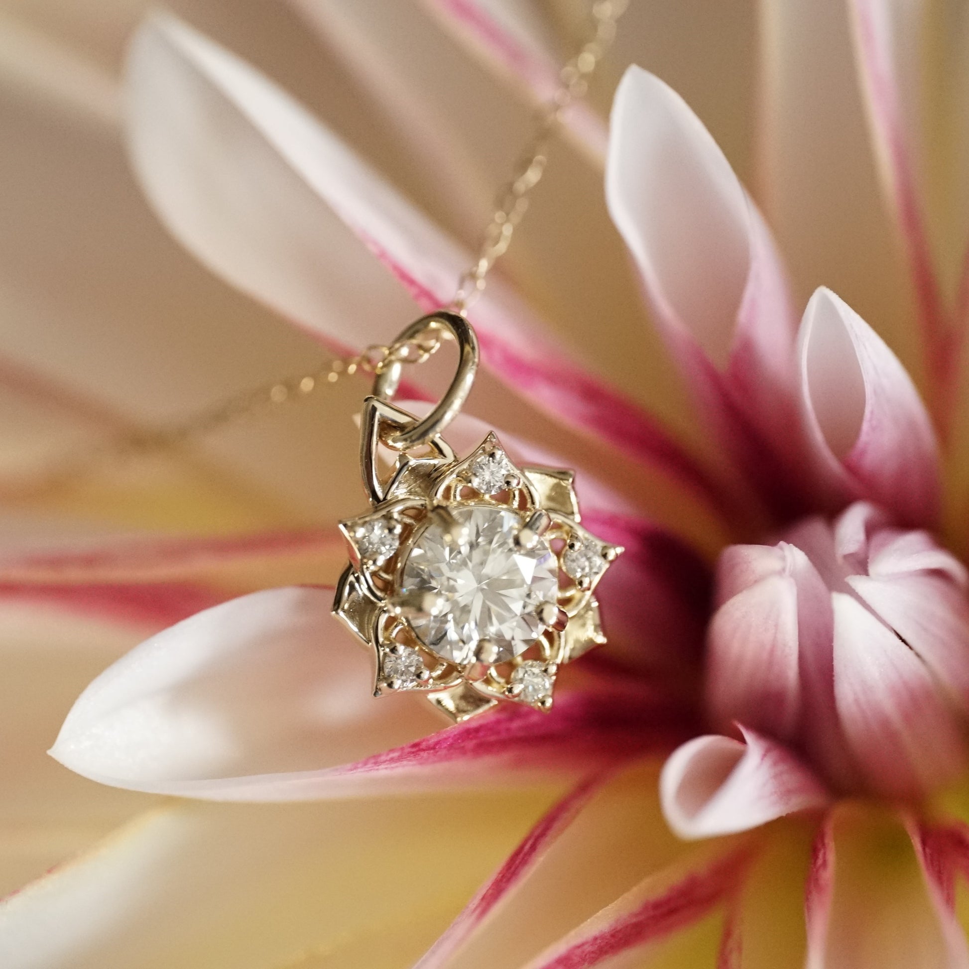 a yellow gold pendant with a large diamond center stone and 5 diamond accents in a floral design on an open link chain rests on a pink and white flower