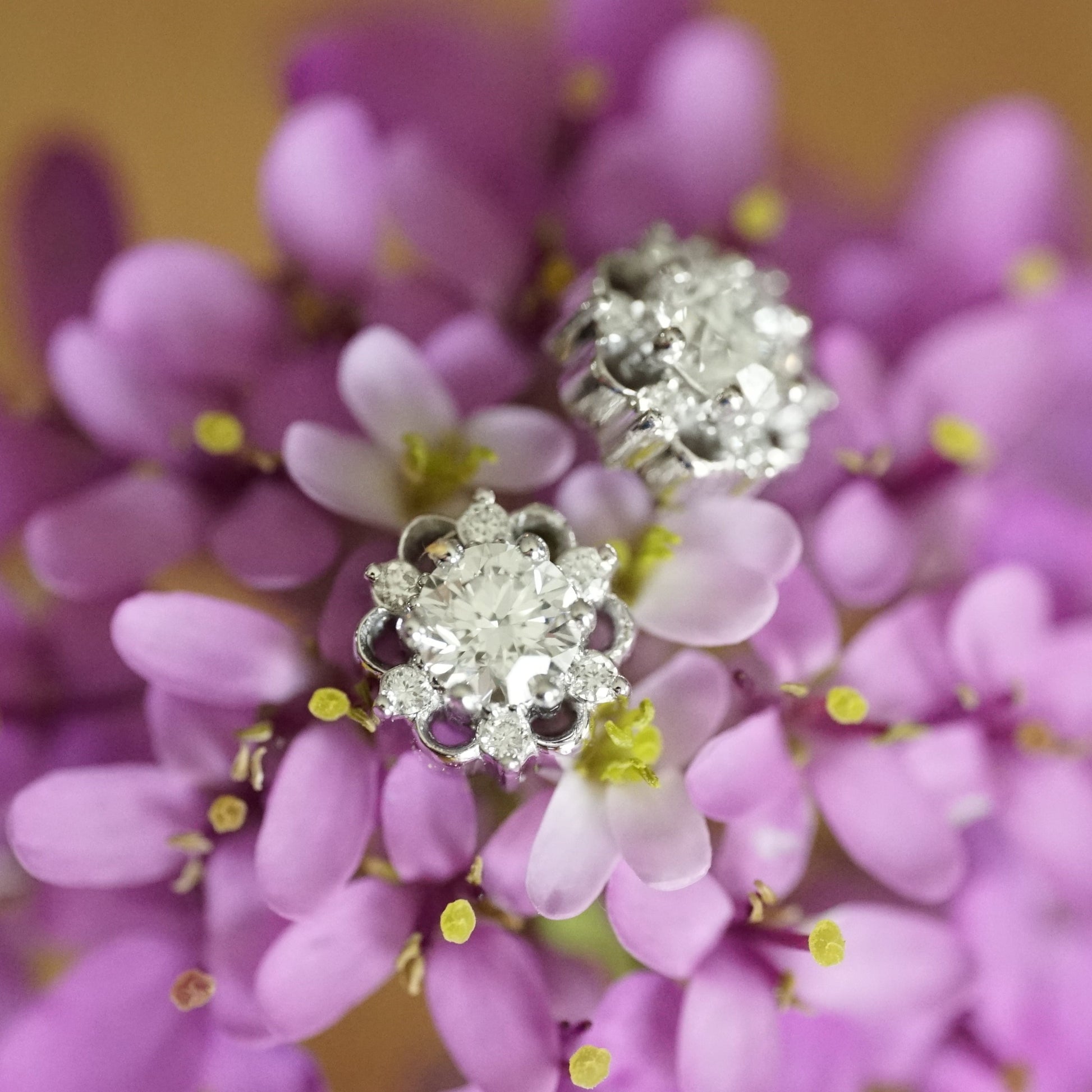 a white gold stud earring with a lab ground diamond center stone and 6 natural diamond accents in a floral design rests on a bouquet of pink flowers 