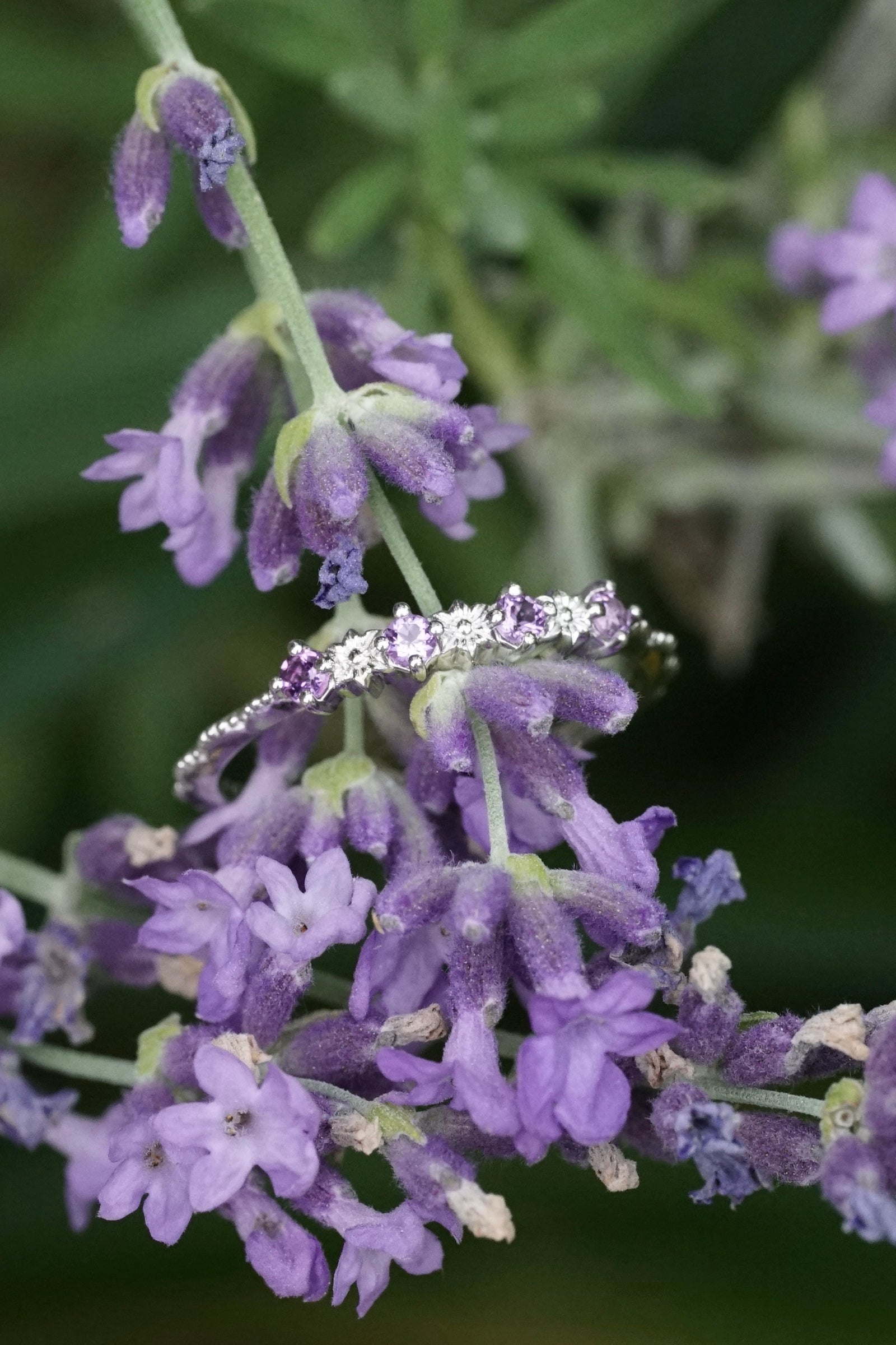 a white gold ring with purple amethysts rest on purple and green flowers