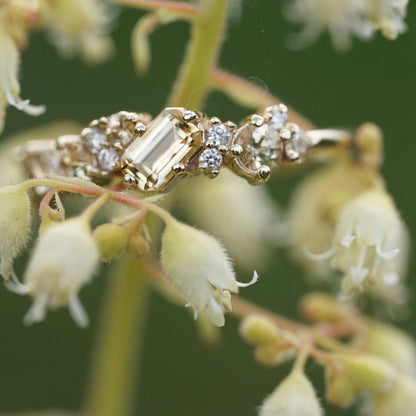 a yellow gold ring with yellow gems of mixed cuts and sizes are paired with white diamonds and photographed in a yellow plant